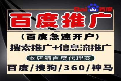 某某sem代运营推广公司成功案例：提升品牌曝光率